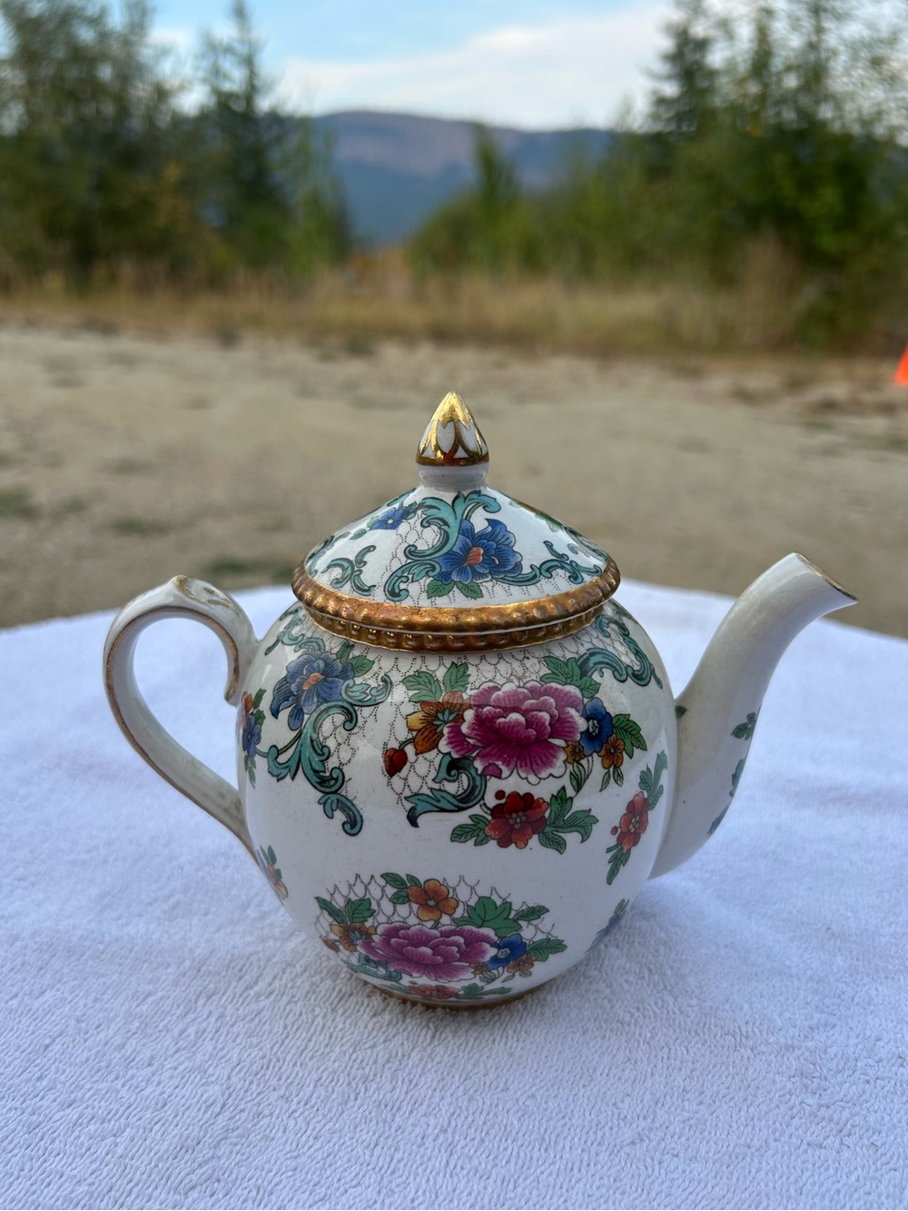 Booths Floradora Vintage Teapot – Made in England – Floral